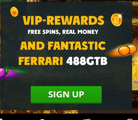 Playamo user-friendly platform